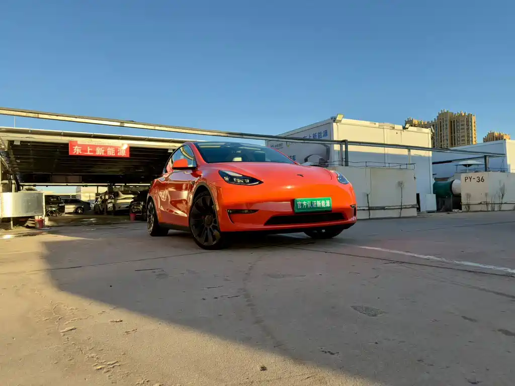 Tesla Model Y — фото 3