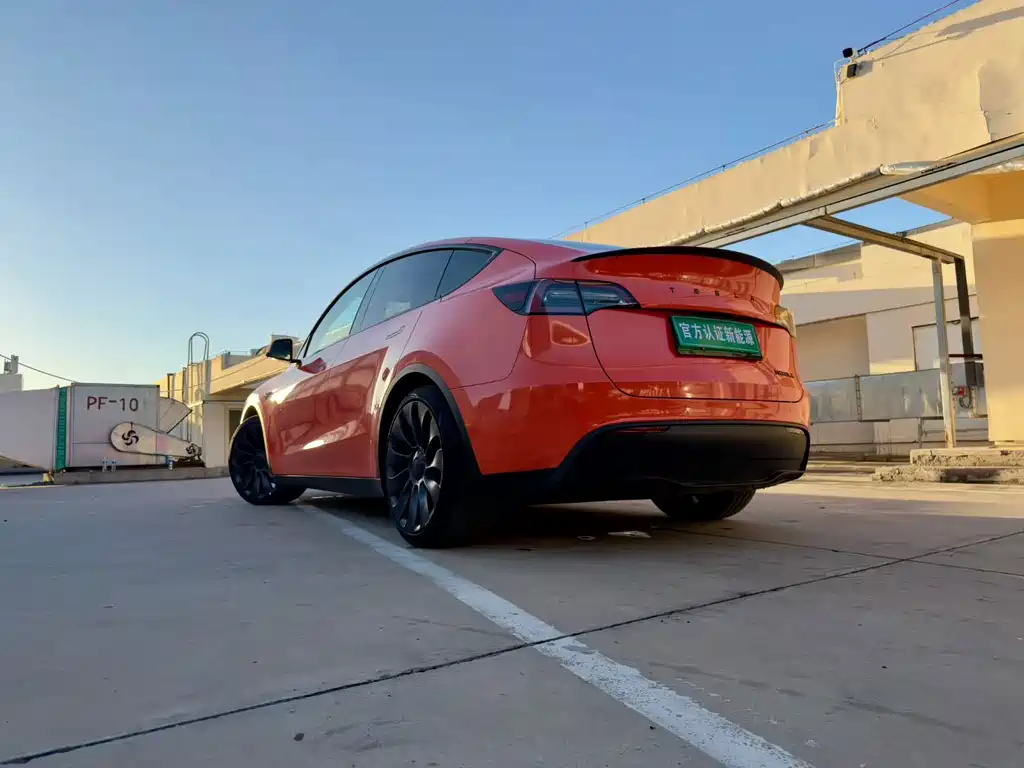 Tesla Model Y — фото 9