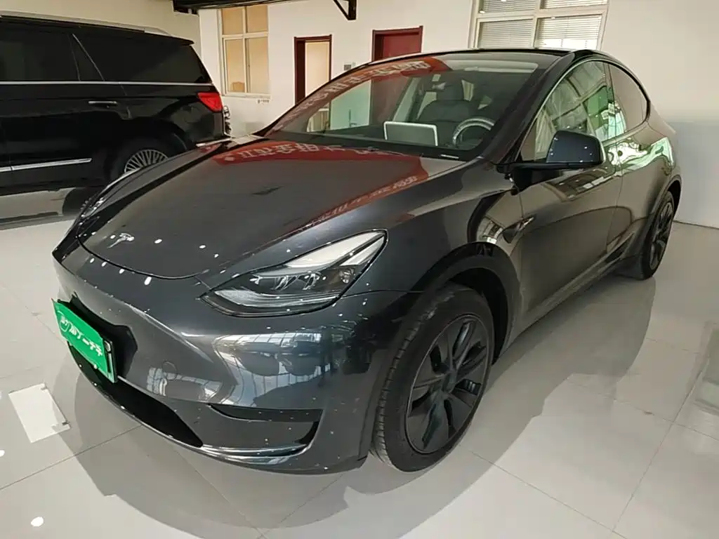 Tesla Model Y — фото 2