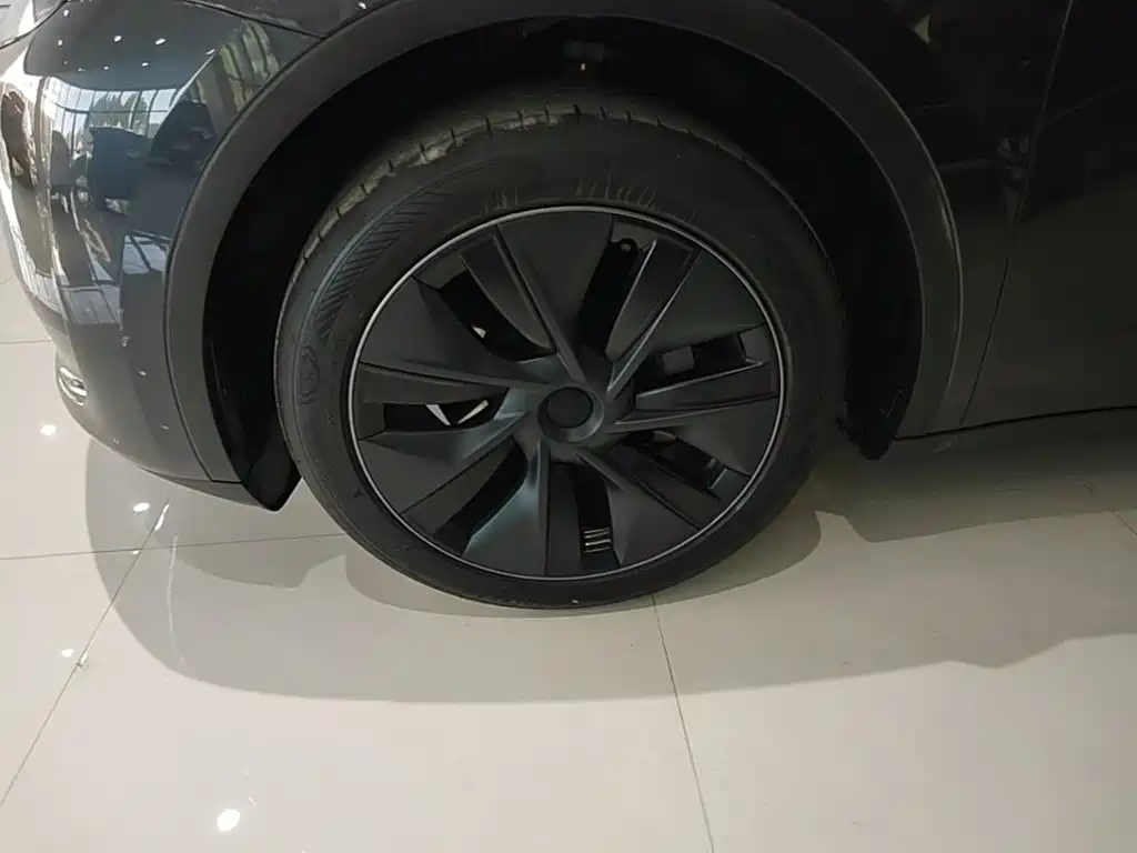 Tesla Model Y — фото 23