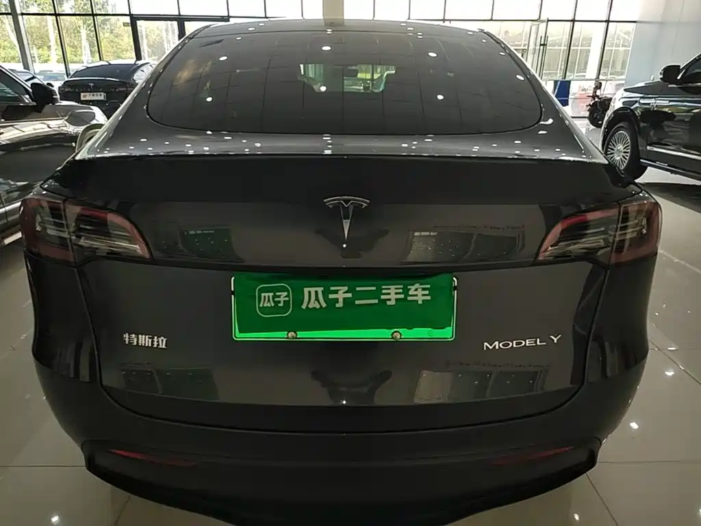 Tesla Model Y — фото 6