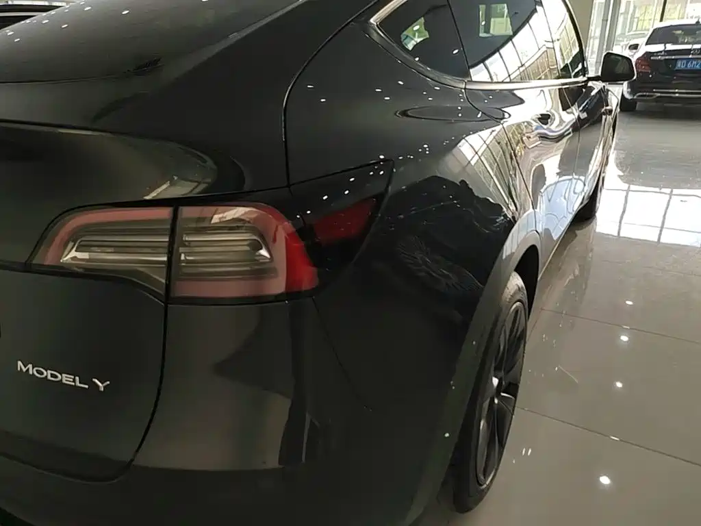 Tesla Model Y — фото 8