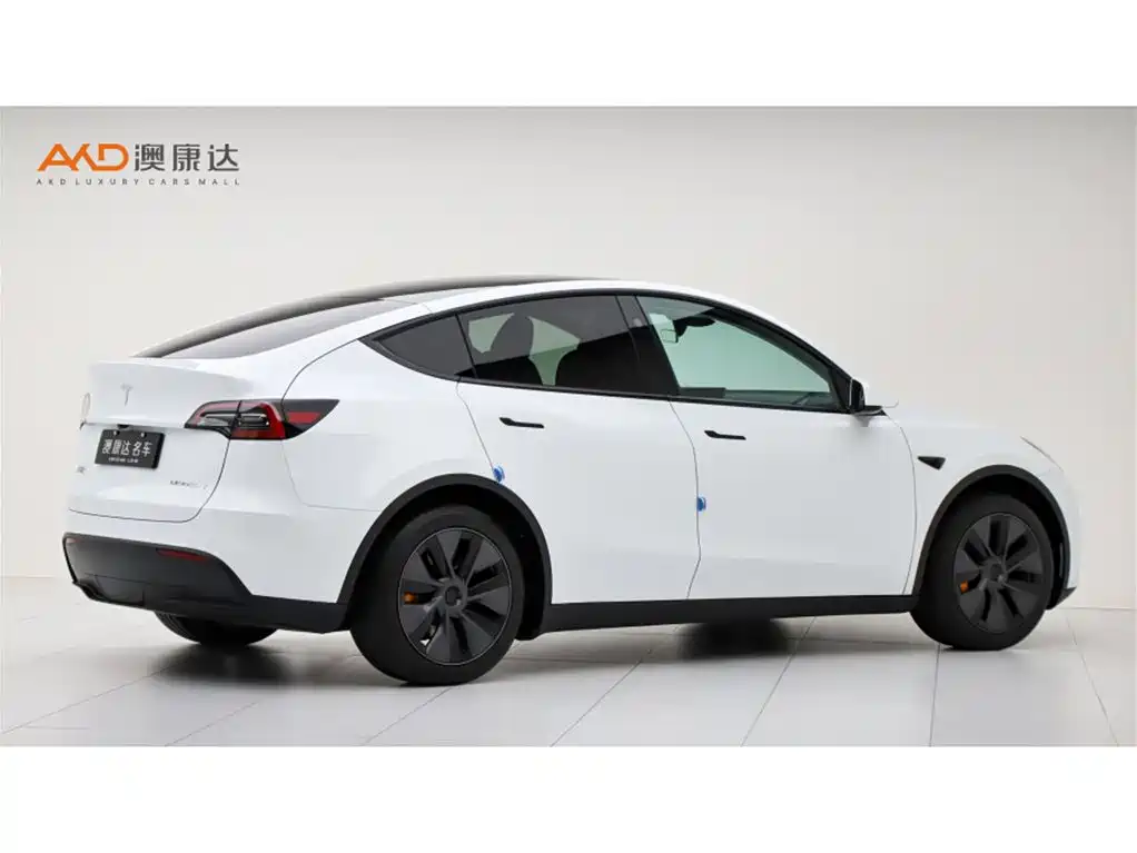 Tesla Model Y — фото 3