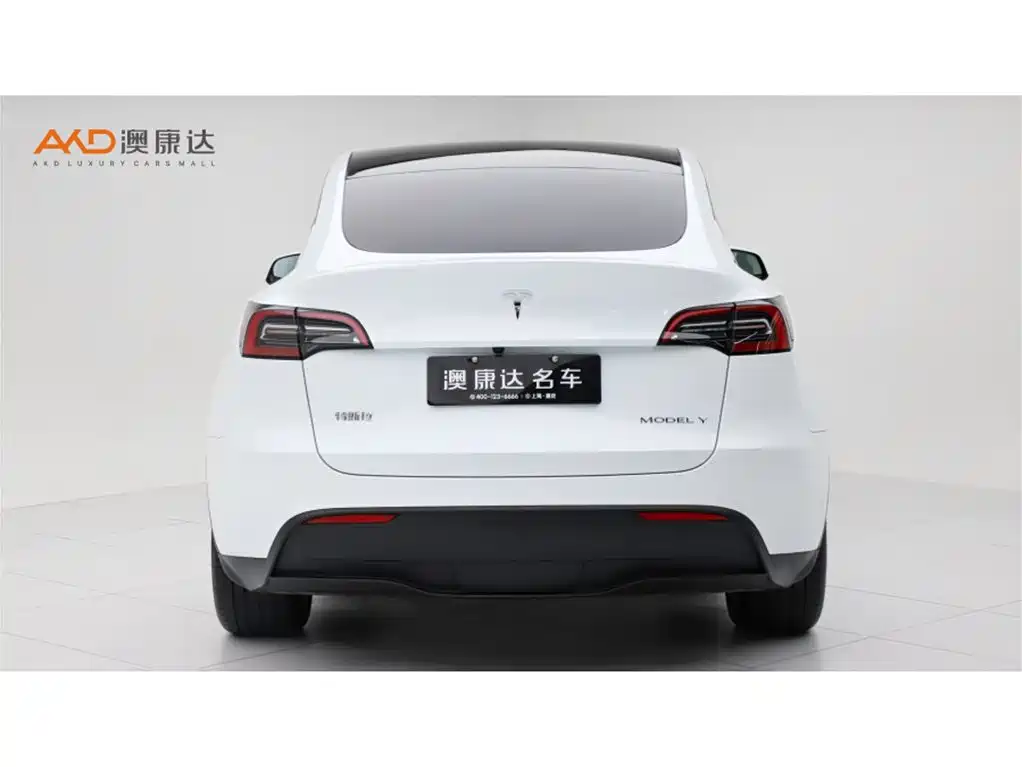 Tesla Model Y — фото 4