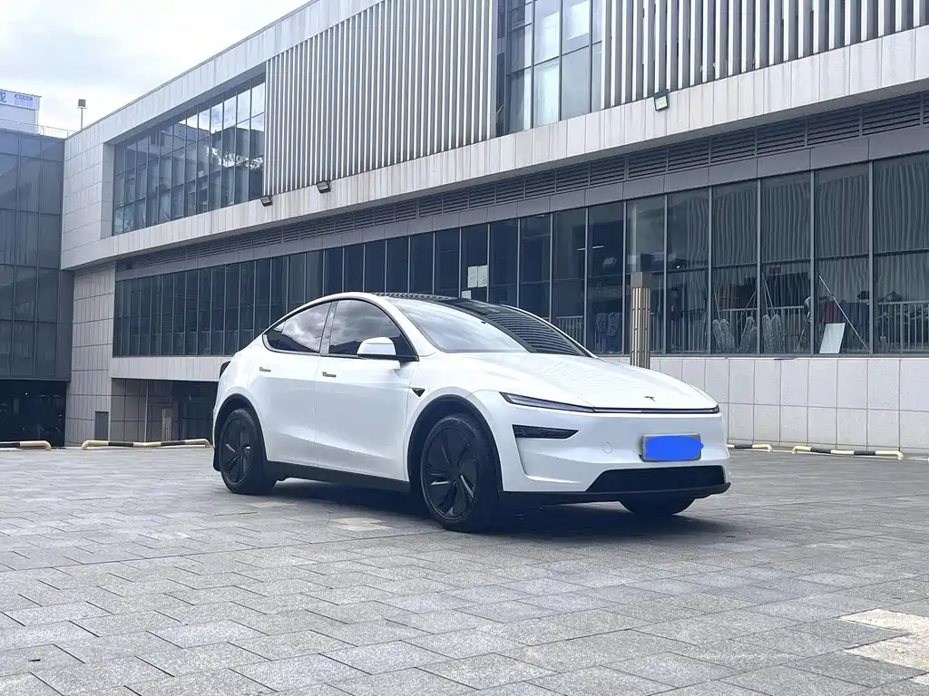 Tesla Model Y — фото 3