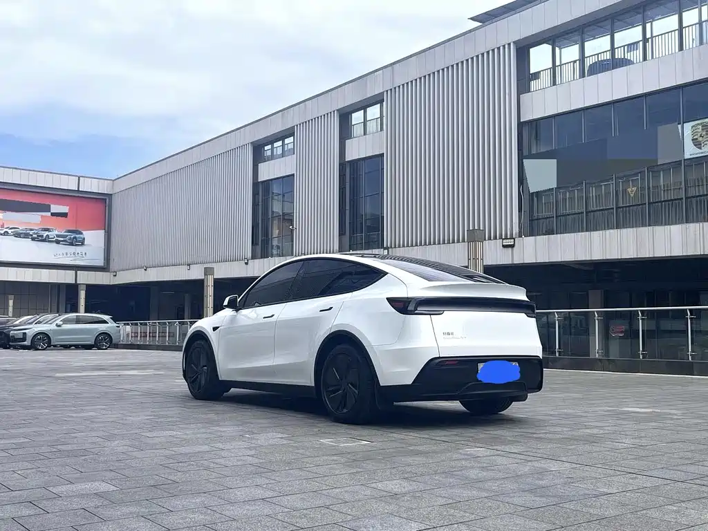 Tesla Model Y — фото 6