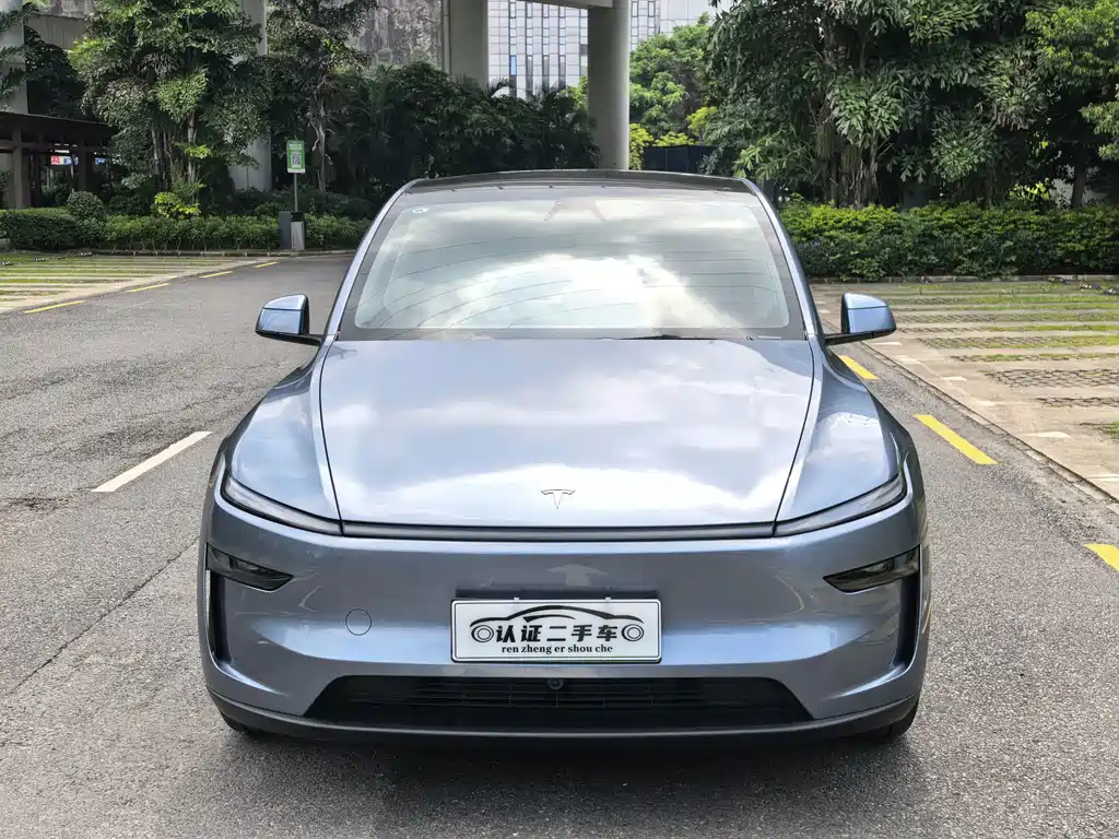 Tesla Model Y — фото 2