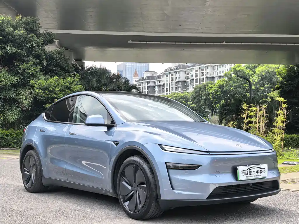 Tesla Model Y — фото 3