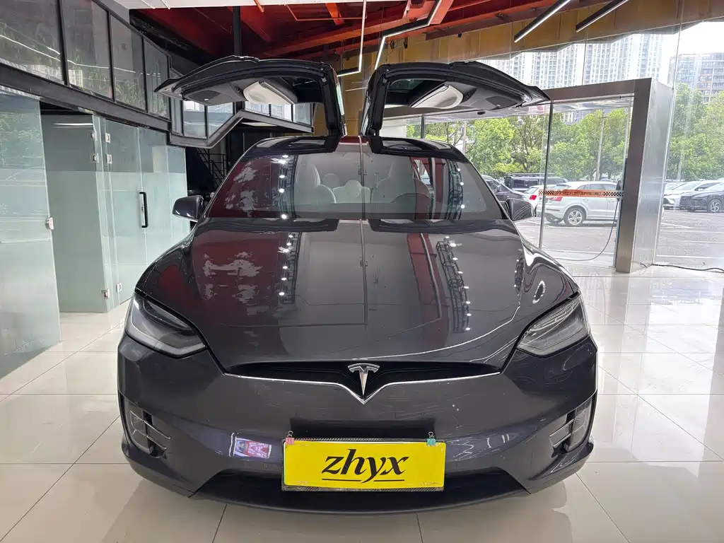 Tesla Model X — фото 2