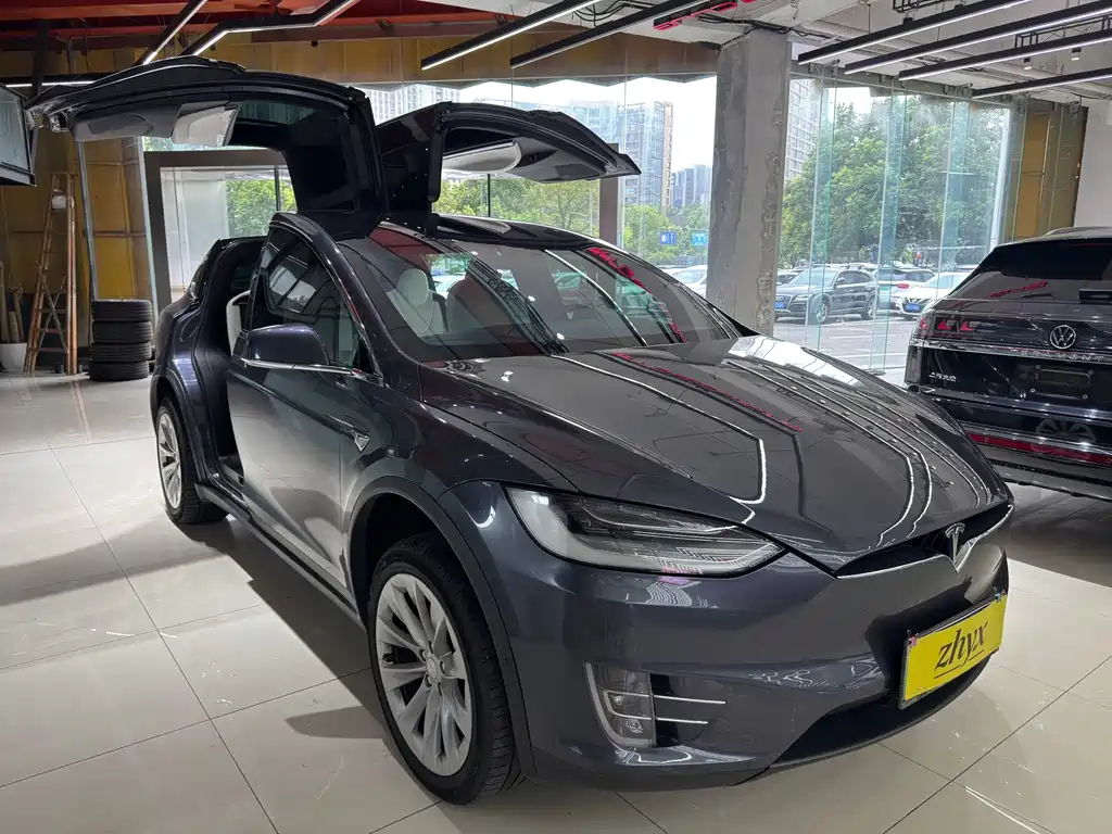 Tesla Model X — фото 3