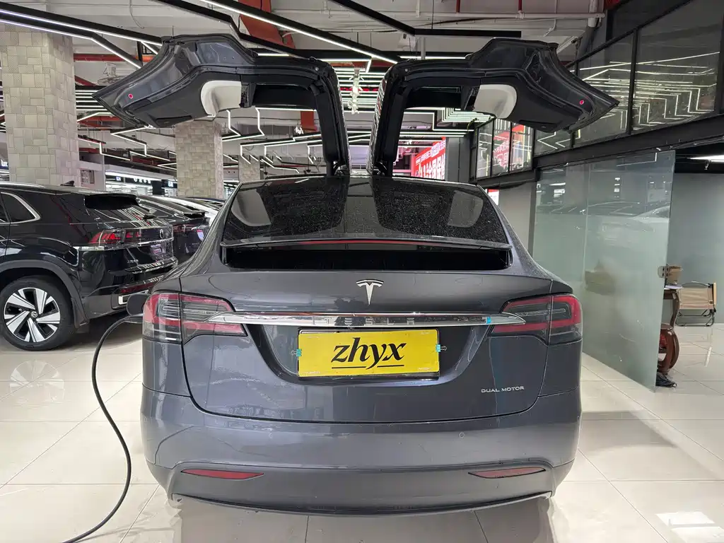 Tesla Model X — фото 5