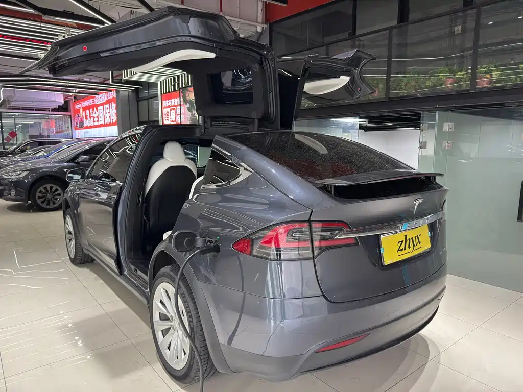 Tesla Model X — фото 6