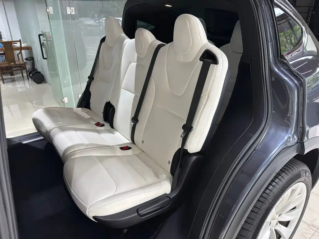 Tesla Model X — фото 9