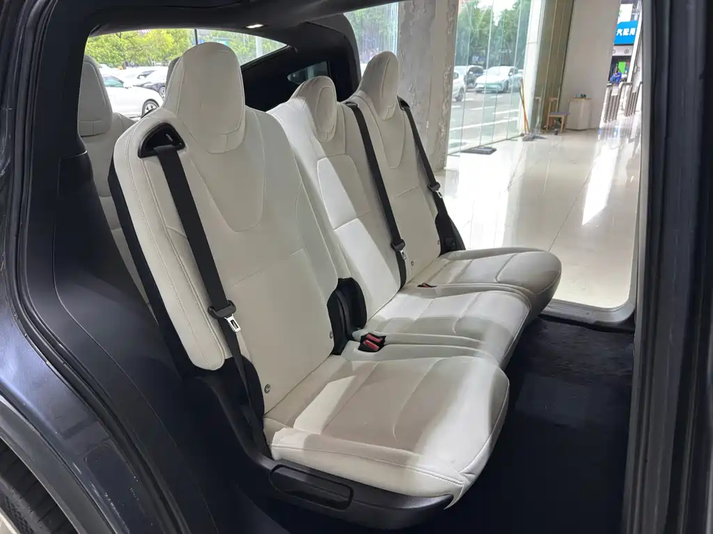 Tesla Model X — фото 10