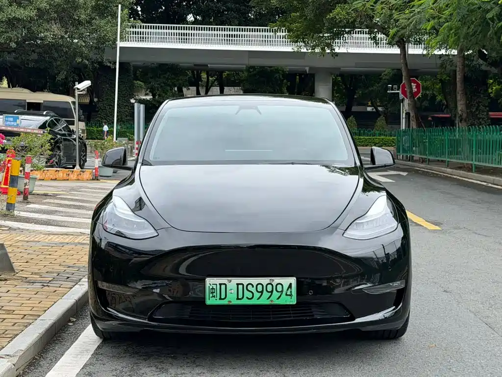 Tesla Model Y — фото 2