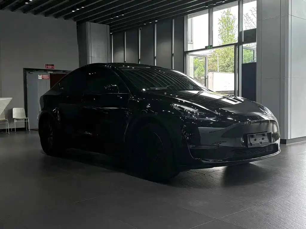 Tesla Model Y — фото 3