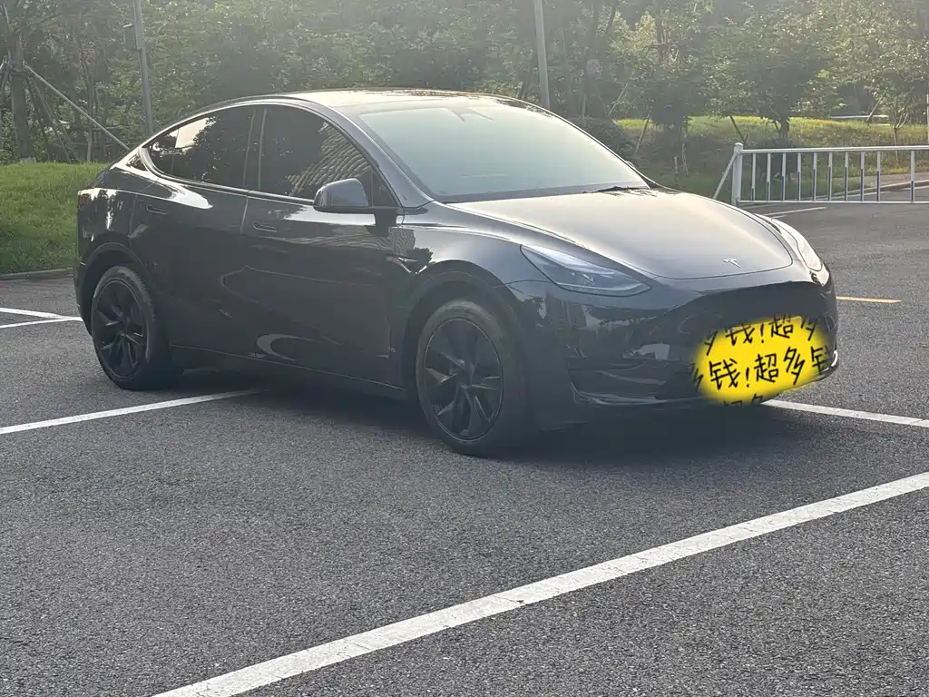 Tesla Model Y — фото 3