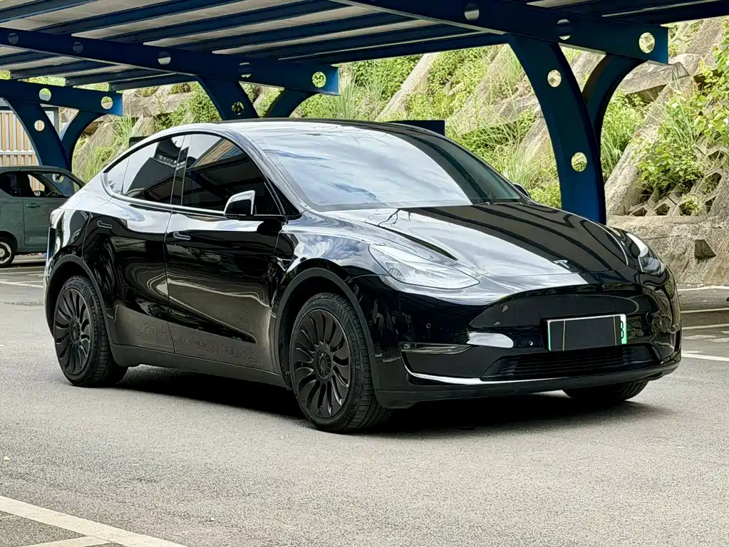 Tesla Model Y — фото 3
