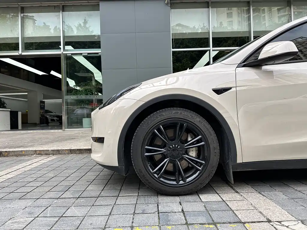 Tesla Model Y — фото 3