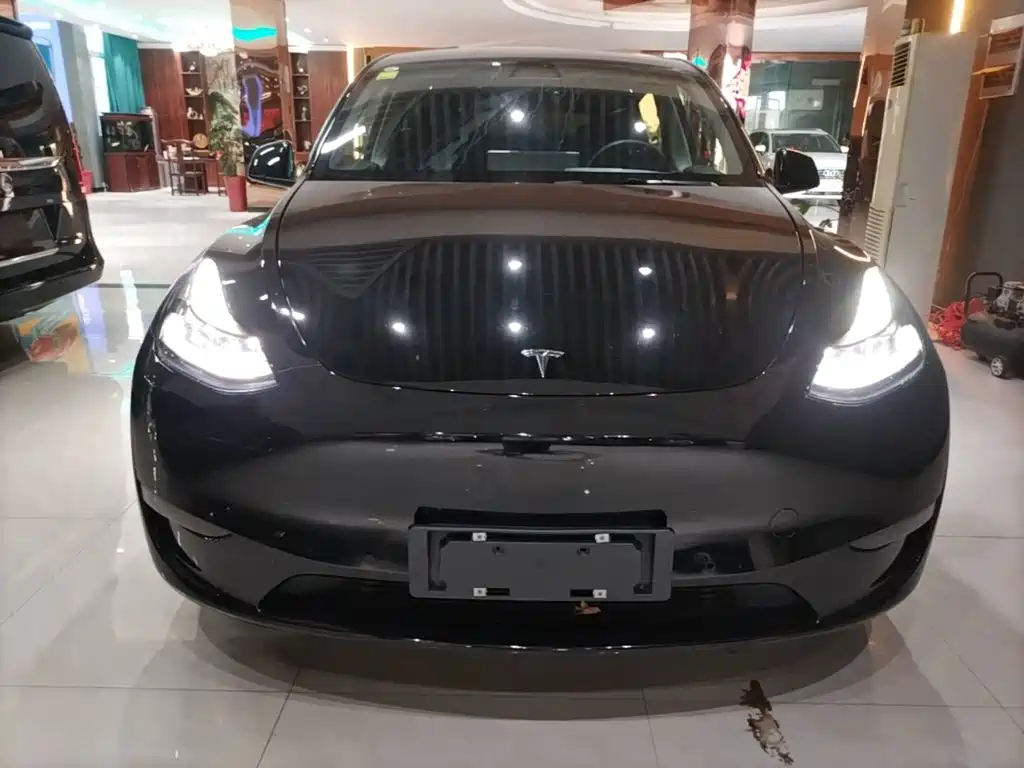 Tesla Model Y — фото 3