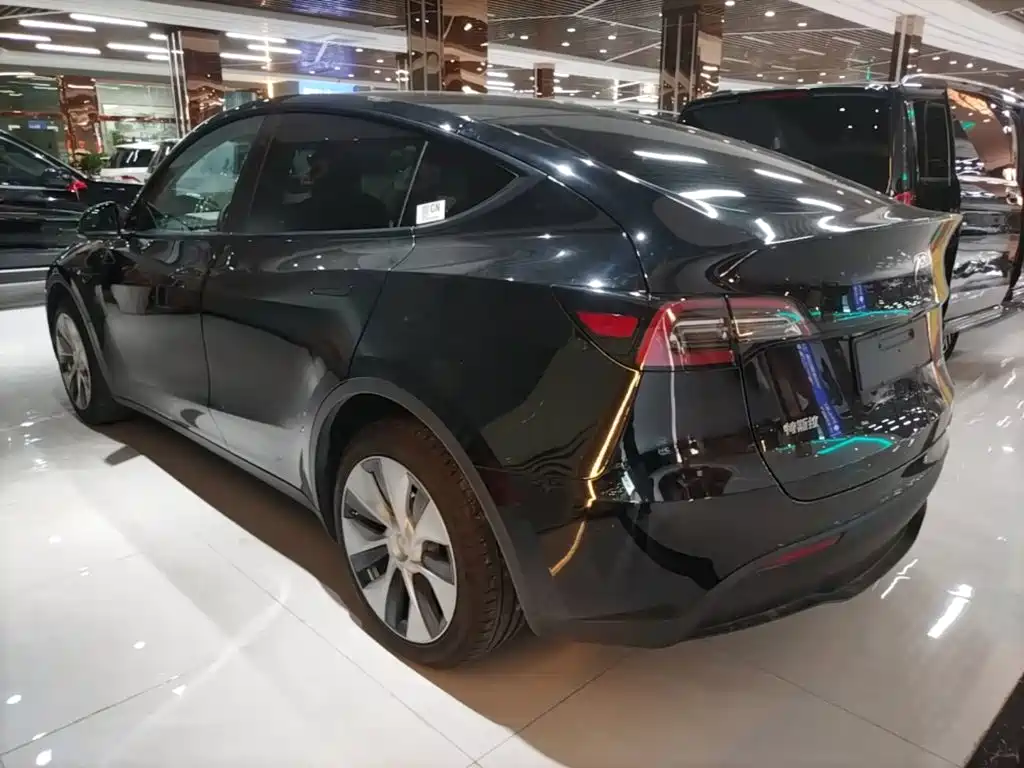 Tesla Model Y — фото 5