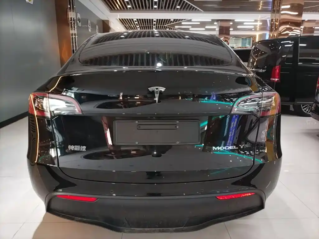 Tesla Model Y — фото 6