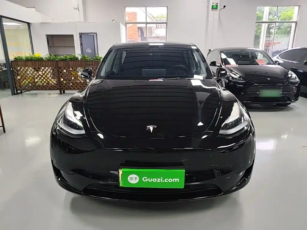 Tesla Model Y — фото 3