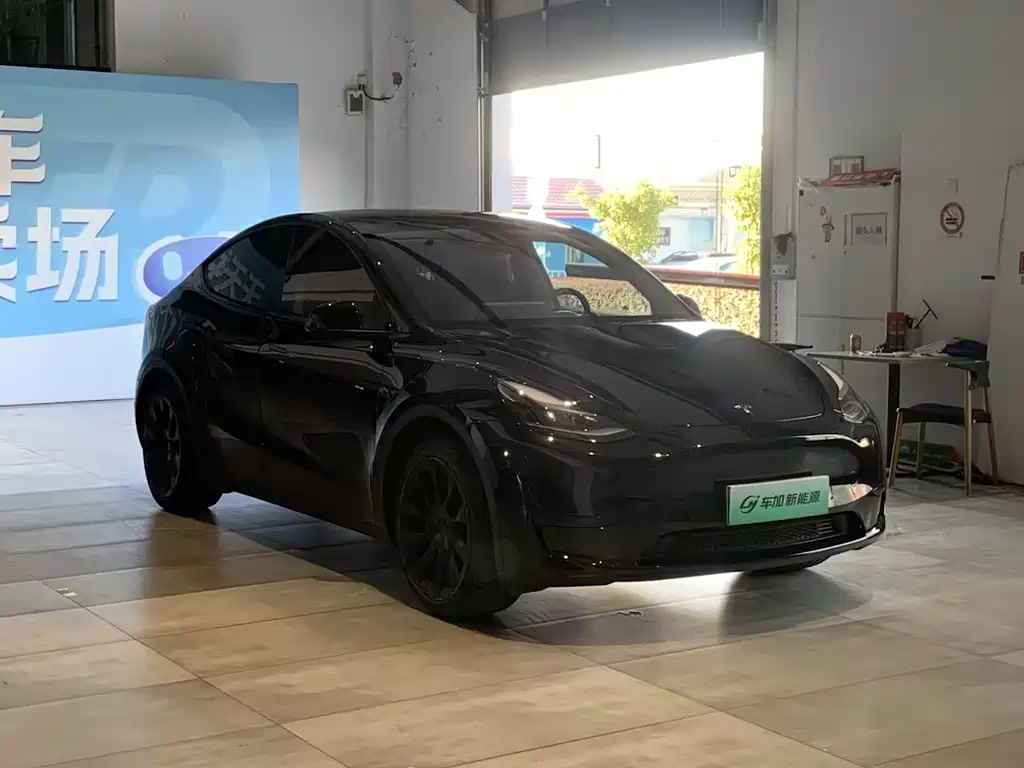 Tesla Model Y — фото 3