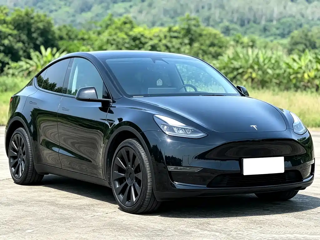 Tesla Model Y — фото 3