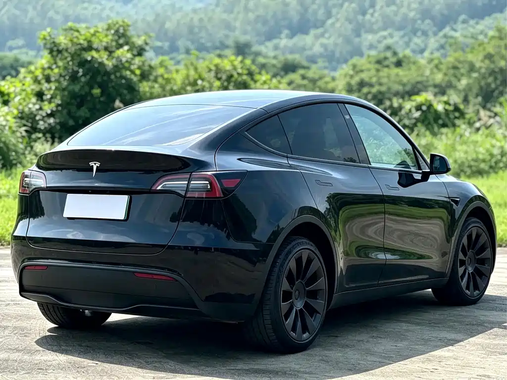Tesla Model Y — фото 4