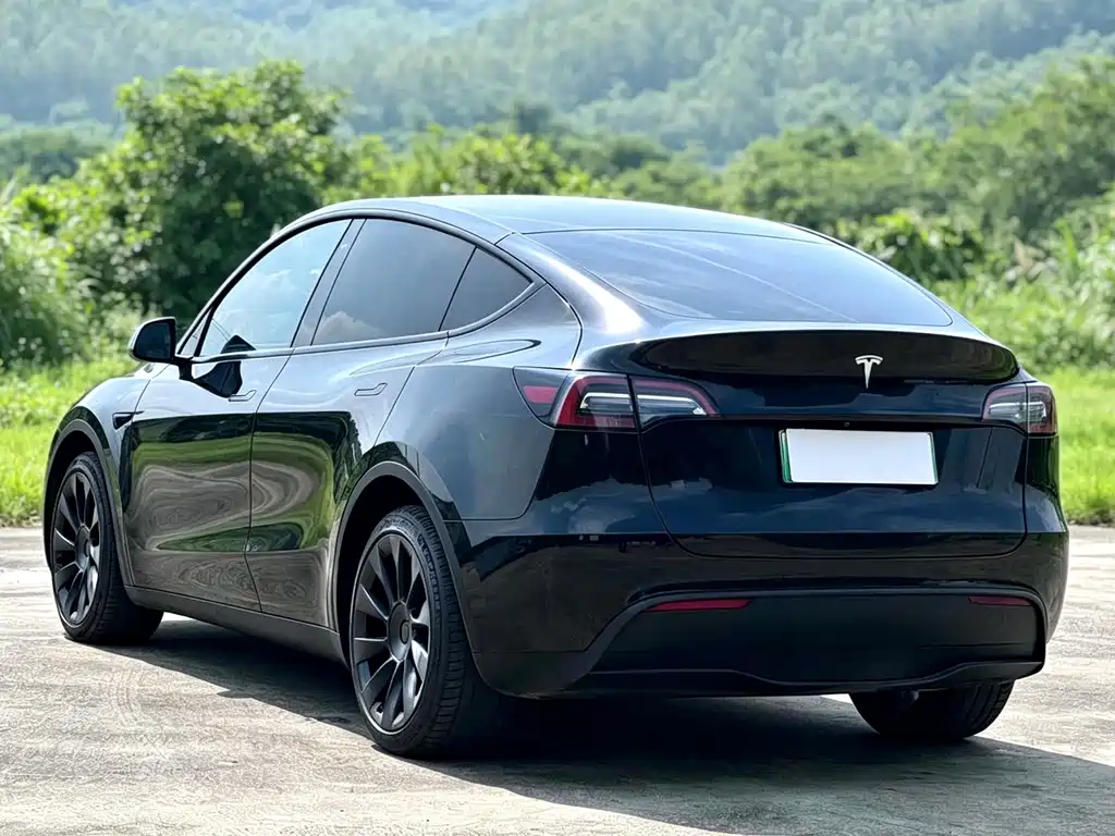 Tesla Model Y — фото 6