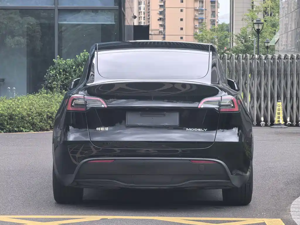 Tesla Model Y — фото 3