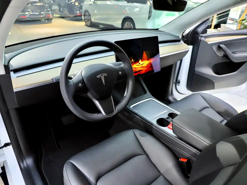 Tesla Model Y — фото 9