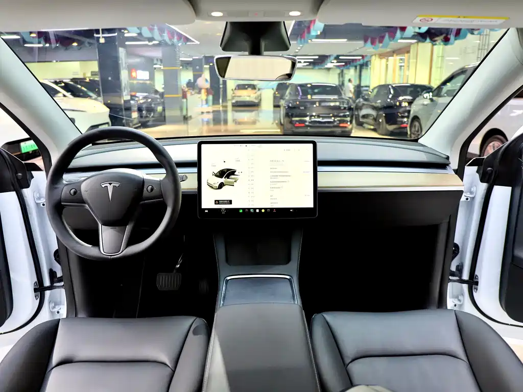 Tesla Model Y — фото 10