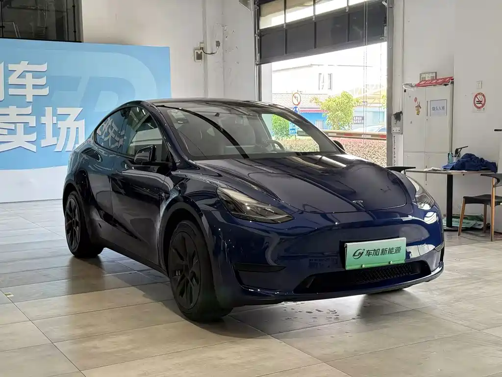 Tesla Model Y — фото 3