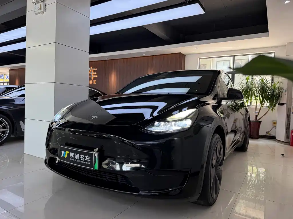 Tesla Model Y — фото 2