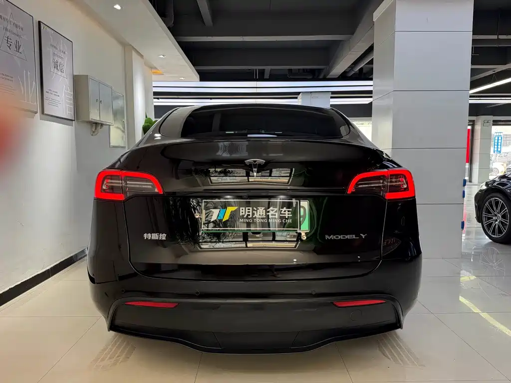 Tesla Model Y — фото 4