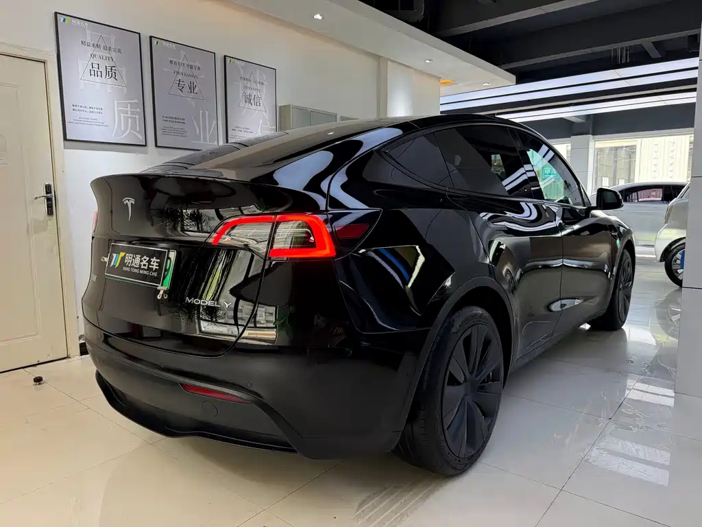 Tesla Model Y — фото 6