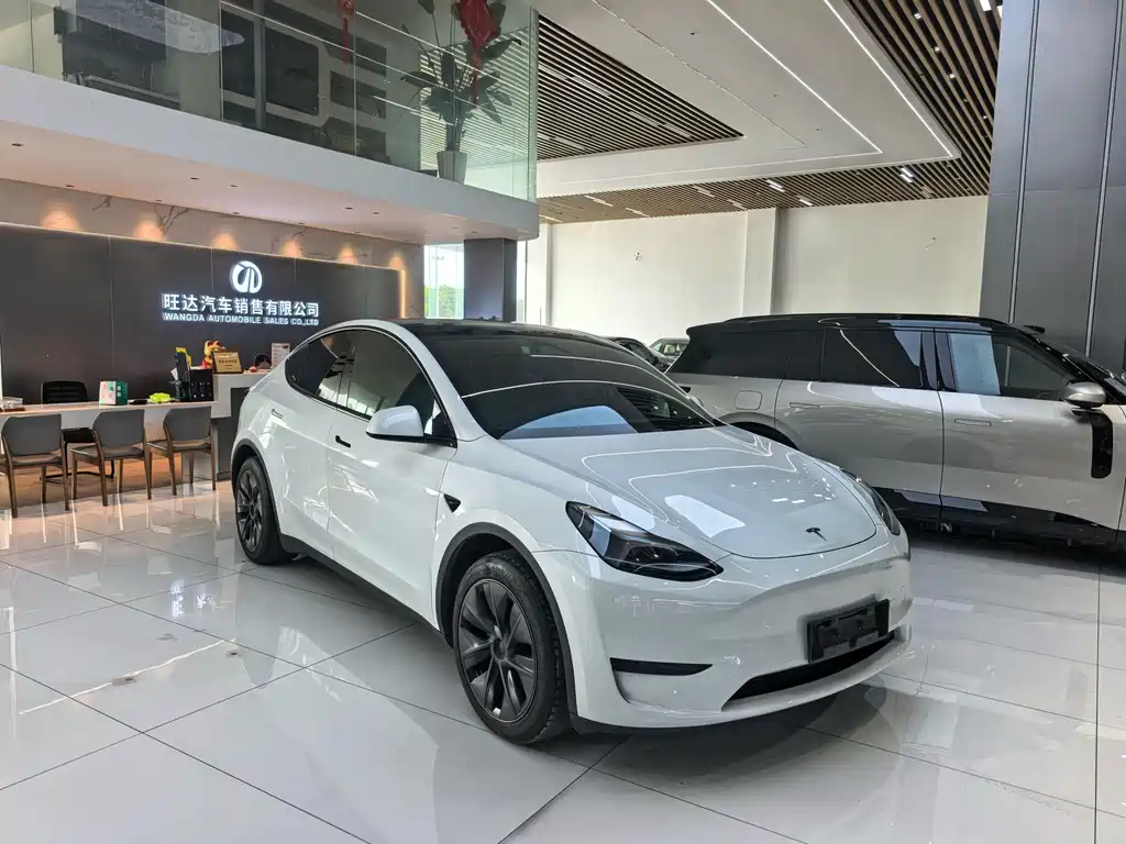 Tesla Model Y — фото 3