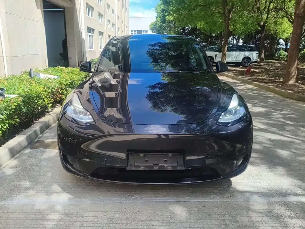 Tesla Model Y — фото 3