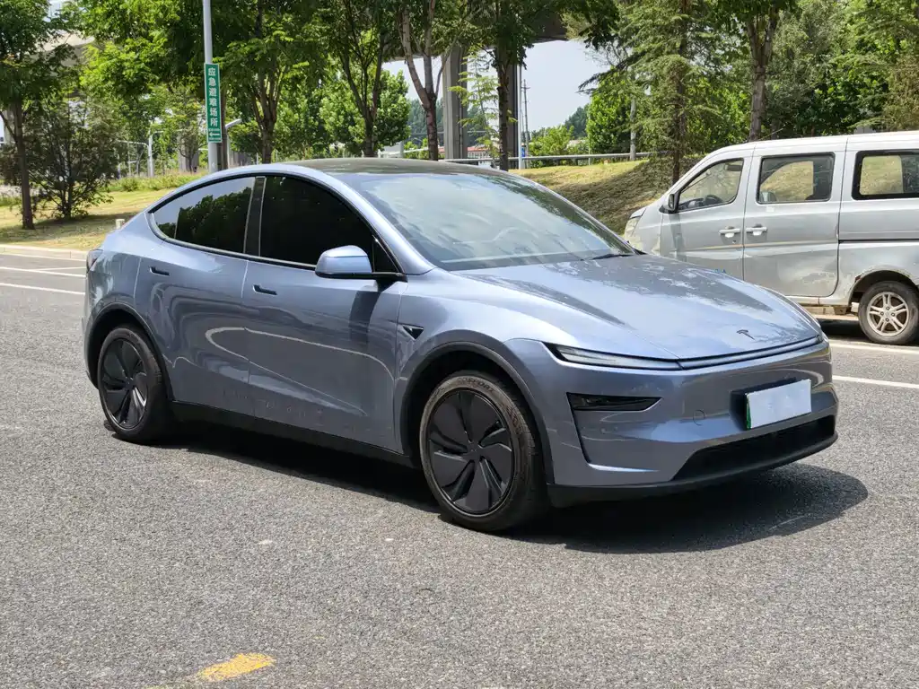 Tesla Model Y — фото 3