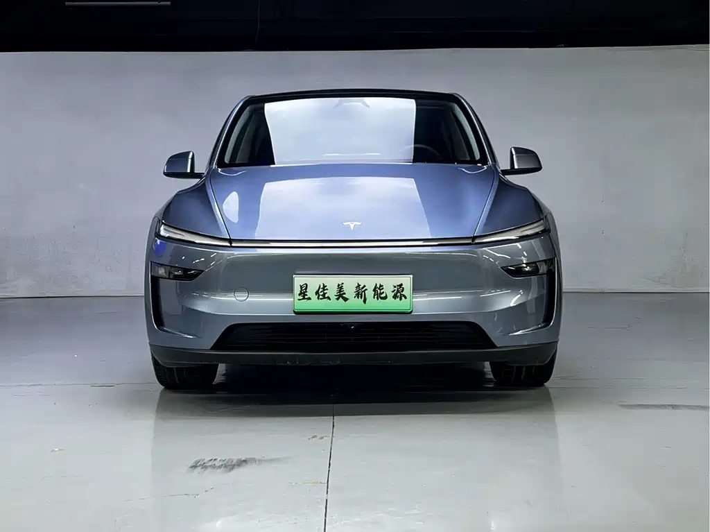 Tesla Model Y — фото 2