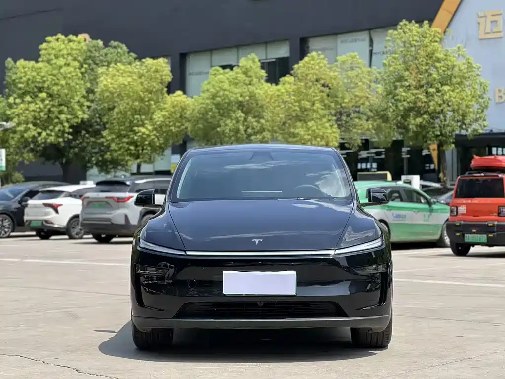 Tesla Model Y — фото 2