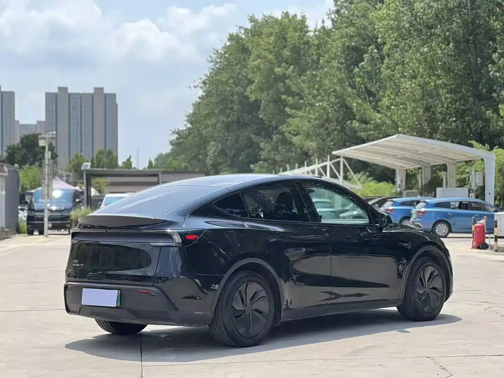Tesla Model Y — фото 11