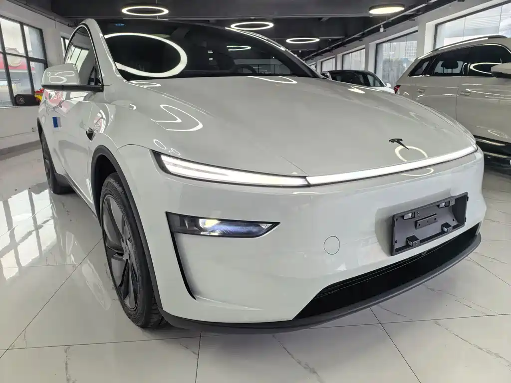 Tesla Model Y — фото 3