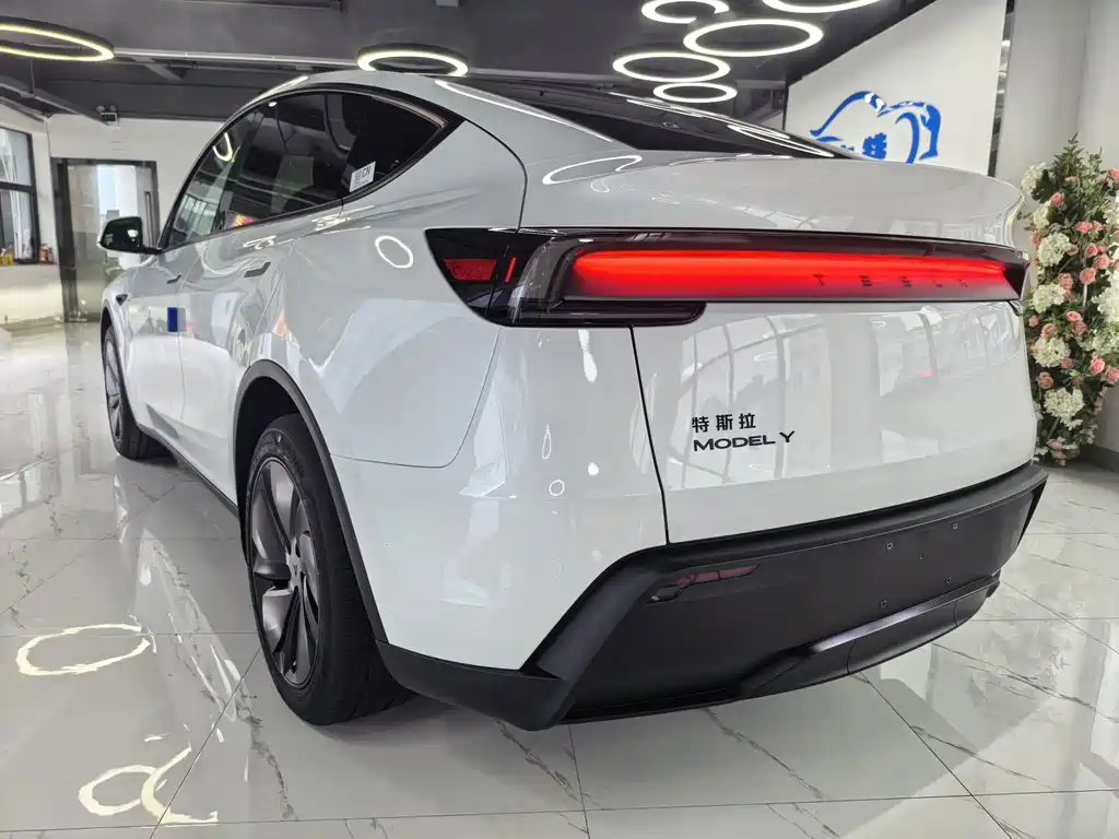 Tesla Model Y — фото 4