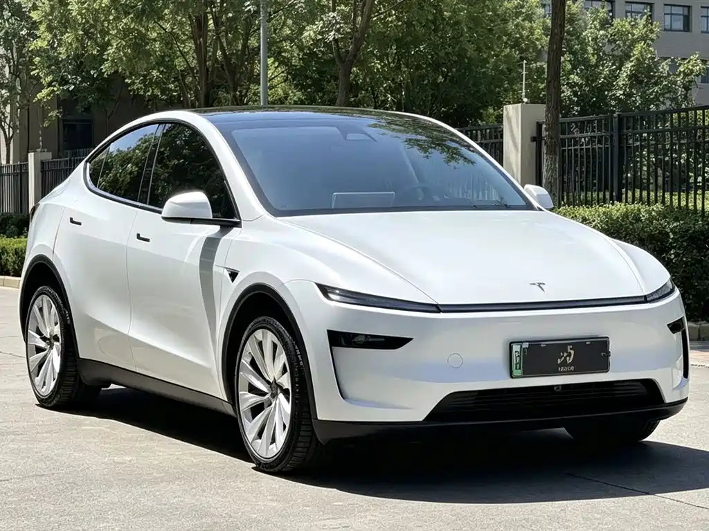 Tesla Model Y — фото 3