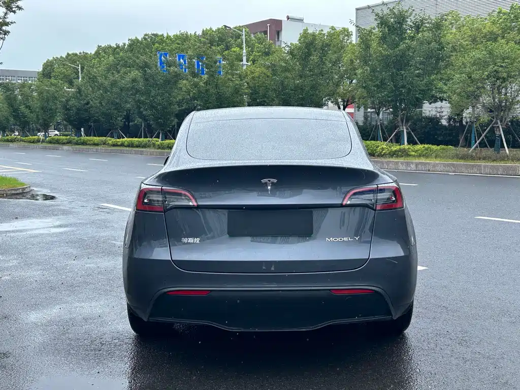 Tesla Model Y — фото 4