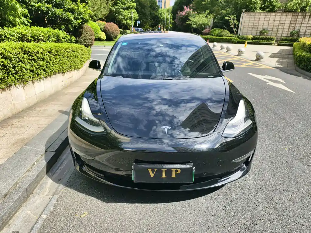 Tesla Model 3 — фото 2