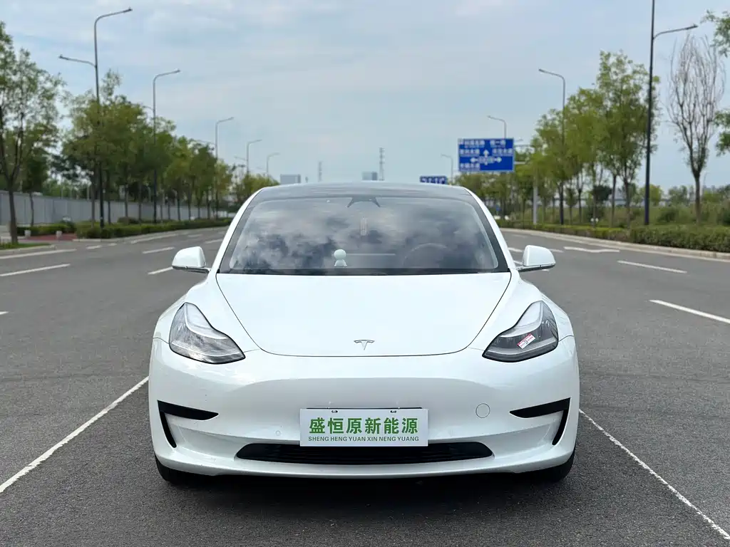 Tesla Model 3 — фото 2